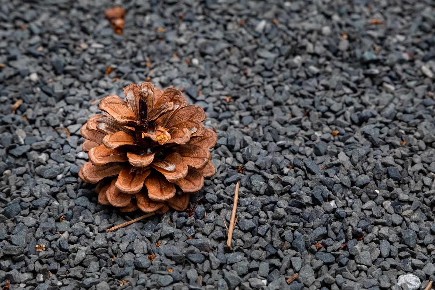 Travel Photography 1